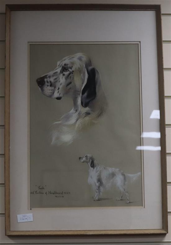 Monogram P.B. study of  Yankee An English Setter, pastel on paper